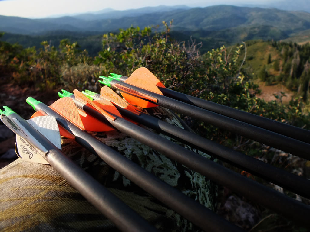 Speed Hunter Vanes In The Early Morning Light Of Archery Opener