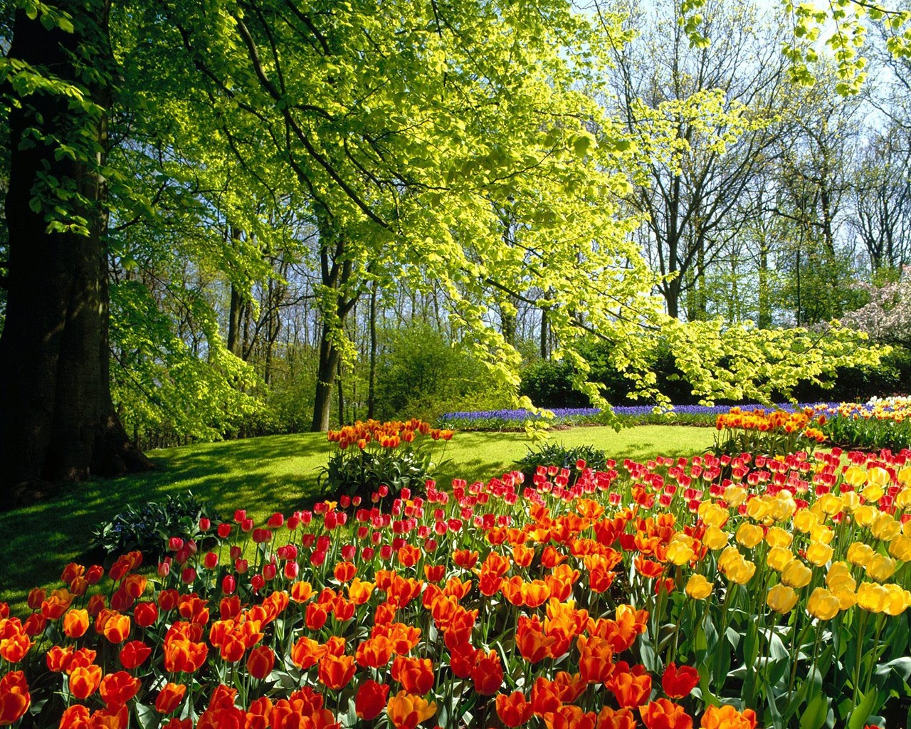 Beautiful Spring Exclusive HD Wallpapers 1498