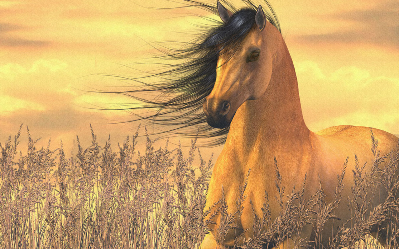 Horse Puter Wallpaper Desktop Background