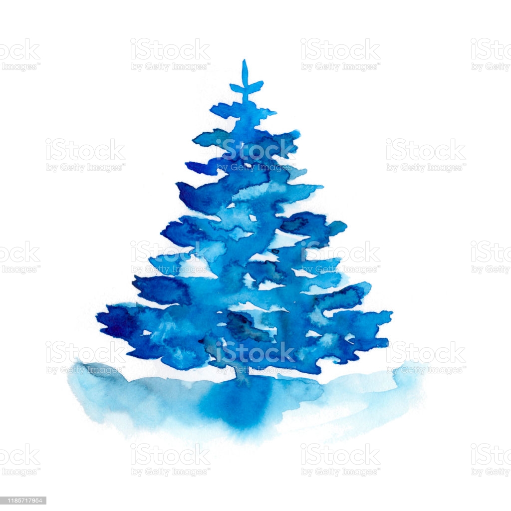 Watercolor Winter Blue Christmas Pine Tree Isolated On White