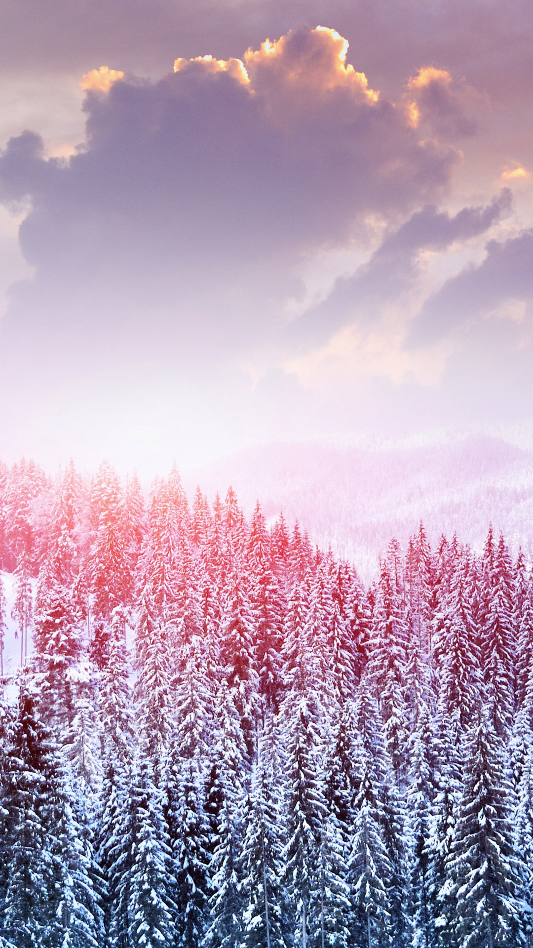 Winter Snow Trees Mountains Forest Sky Clouds iPhone Wallpaper