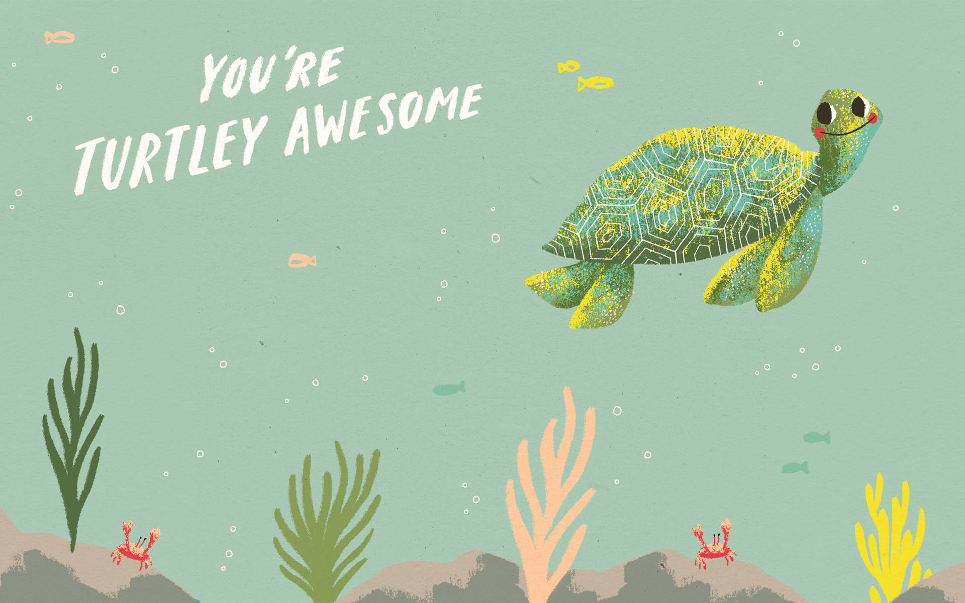 Cute Turtle Wallpaper