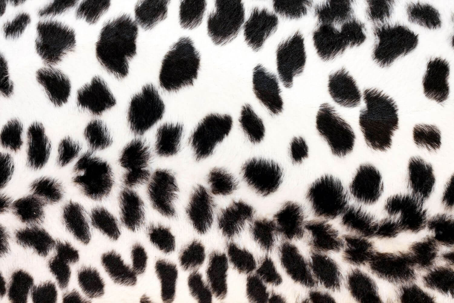 Animal Fur Wallpaper On