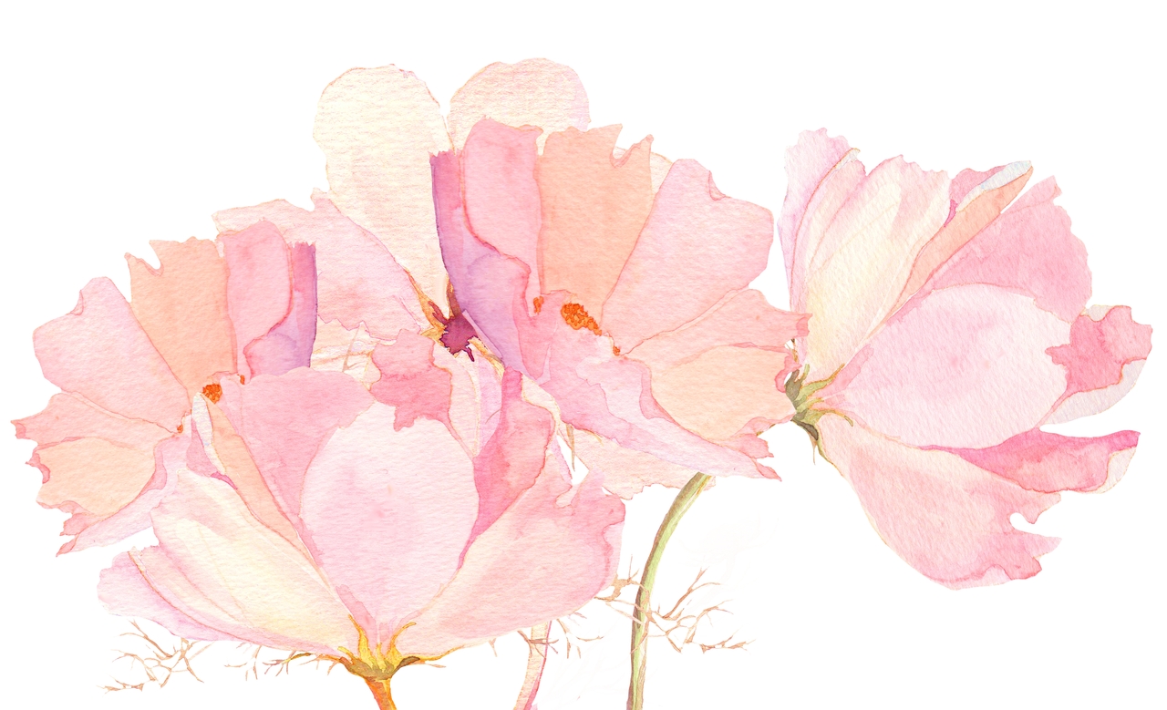 Watercolor Flowers Wallpaper - WallpaperSafari