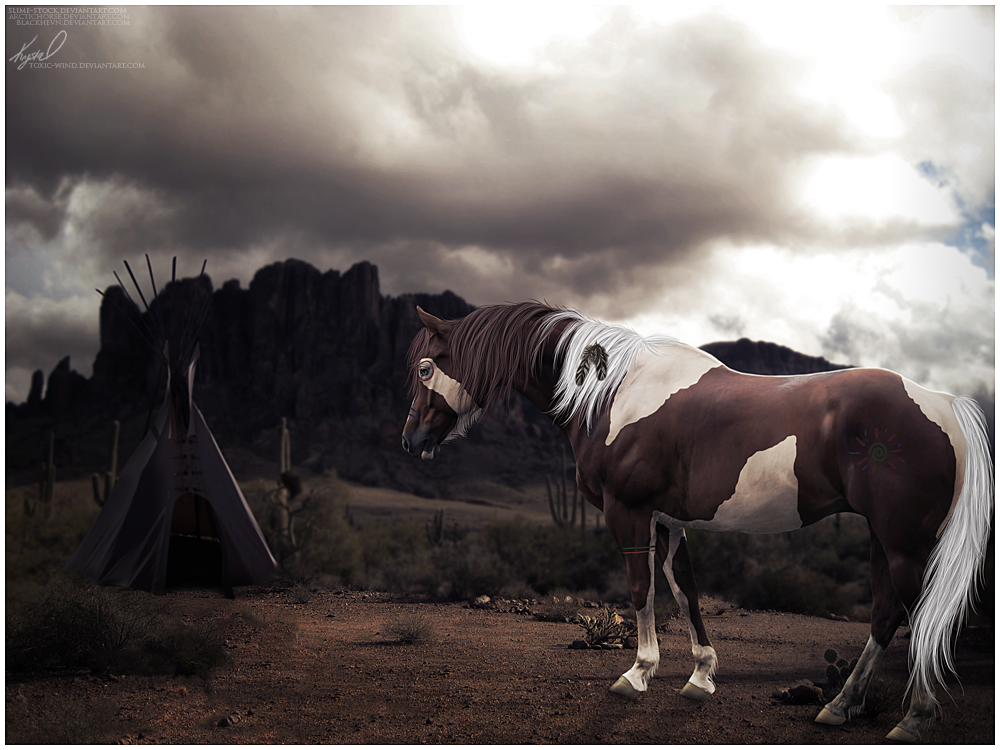 Native American Horse Wallpaper Indian By Toxic Wind