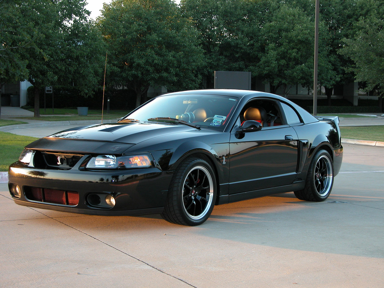 Svt Cobra Mustang Parts Accessories Americanmuscle