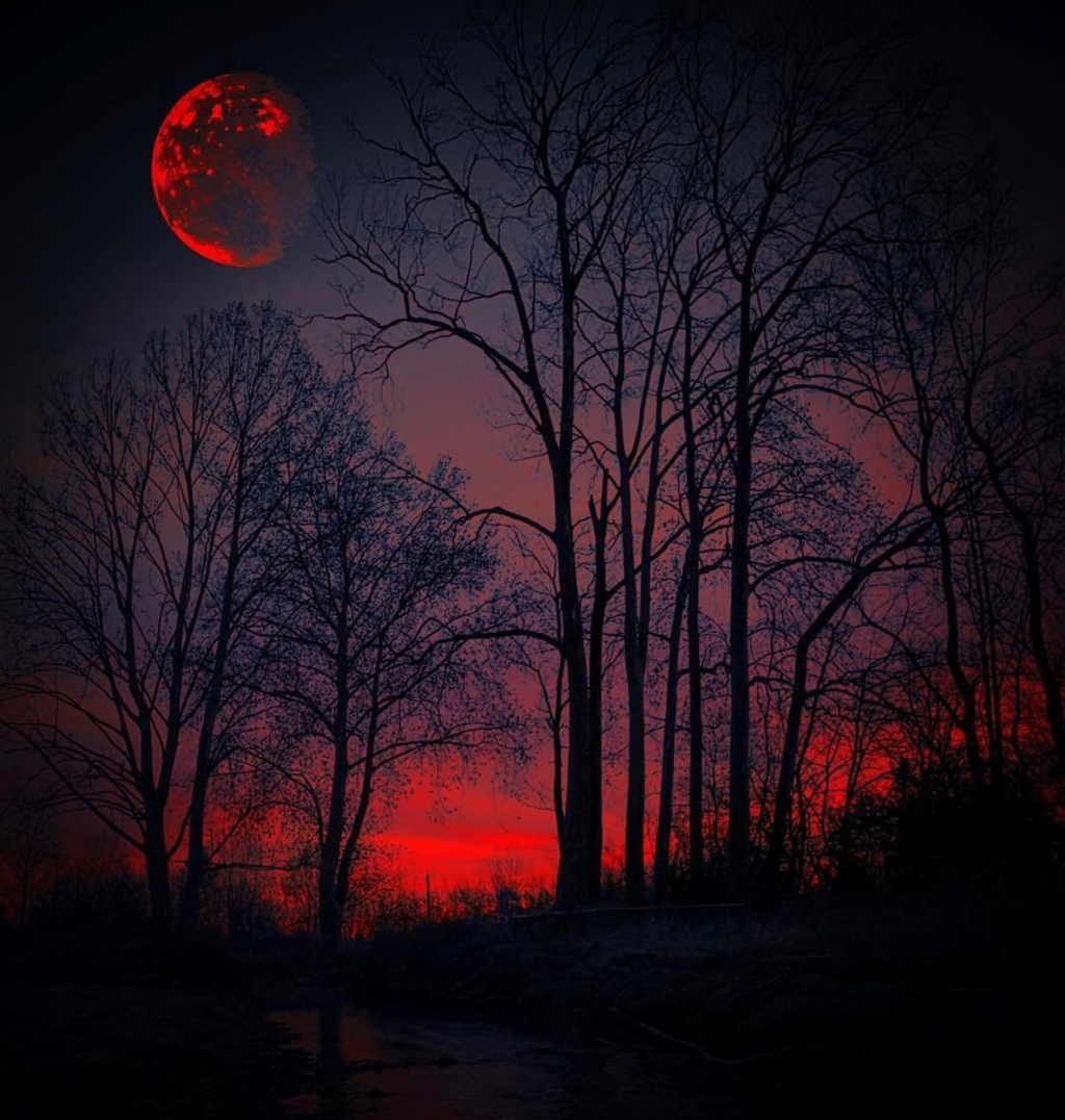 Background Moon Bloodmoon Forest Red Toedit