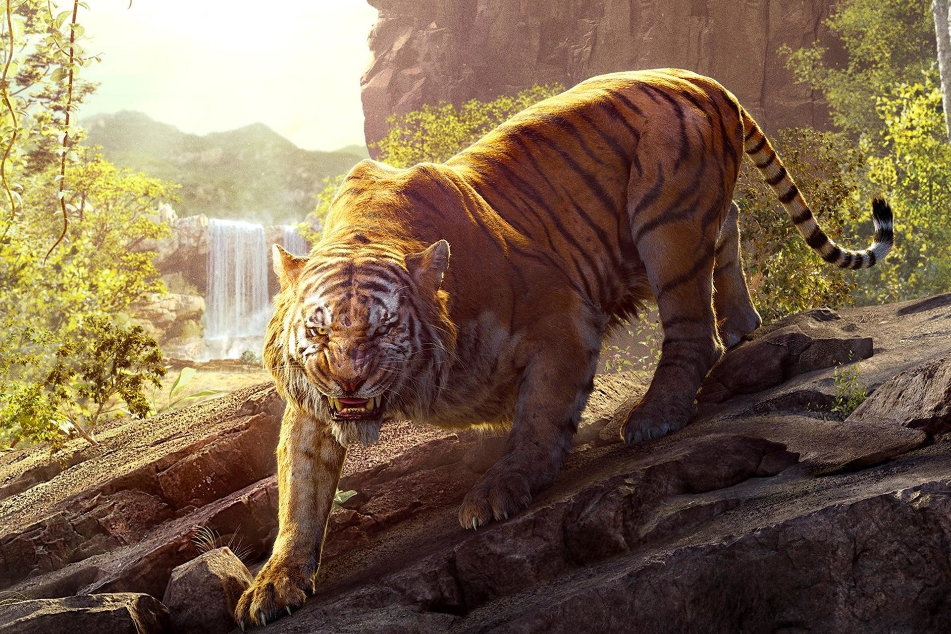 62 Tiger Pics Wallpapers on WallpaperPlay