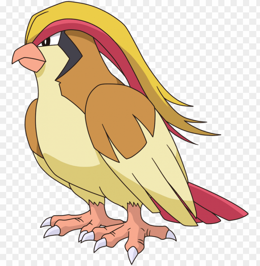 Pidgeot Png Image With Transparent Background Toppng