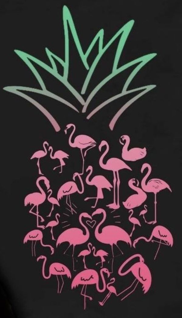 Flamingo Pineapple Shirt Wallpaper Teahub Io