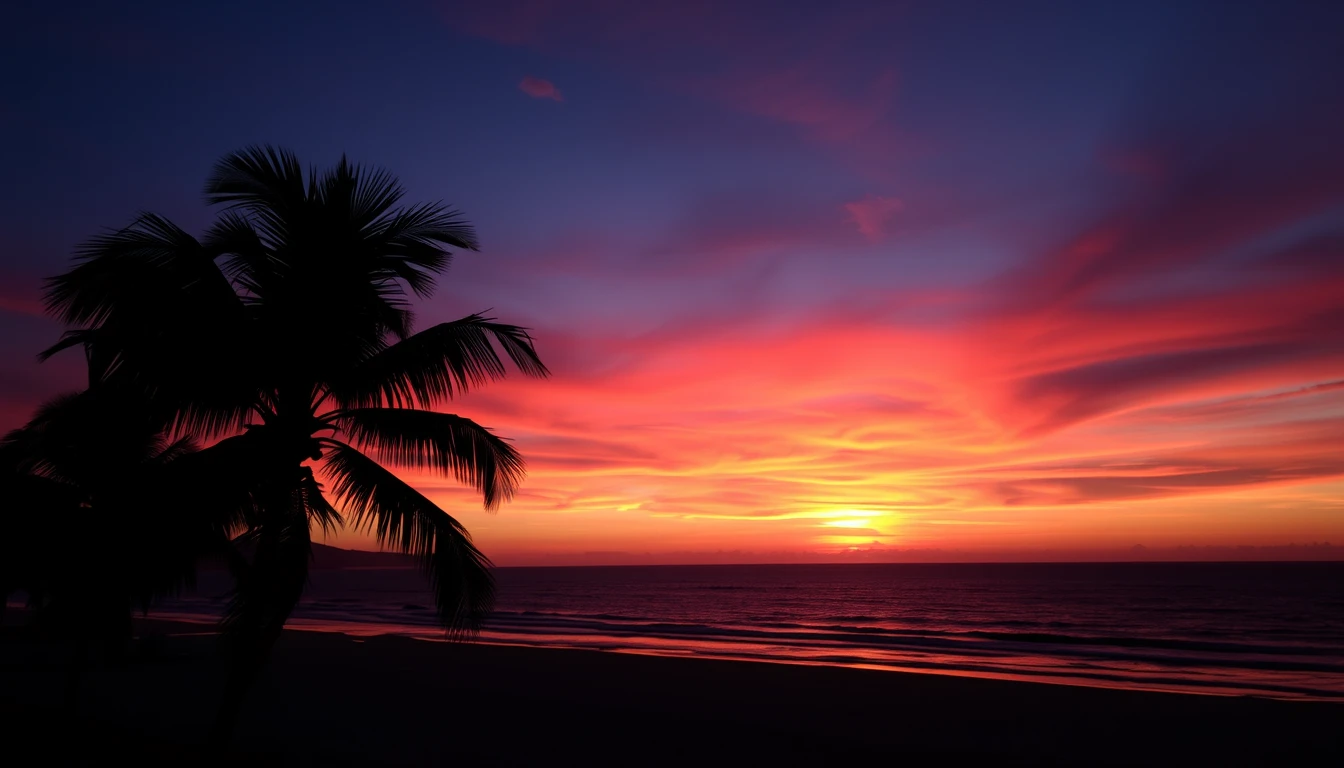 Sunset Wallpaper