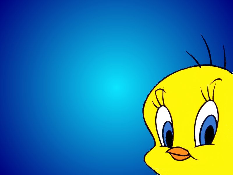 Here Is Your Tweety Wallpaper The Ultimate Site