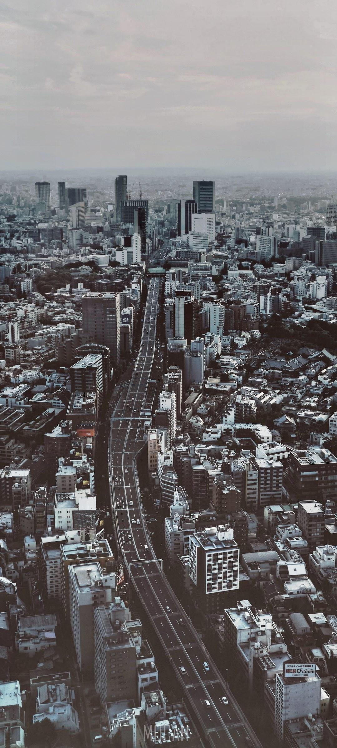 Tokyo Honor Youth Wallpaper 1080p Rare