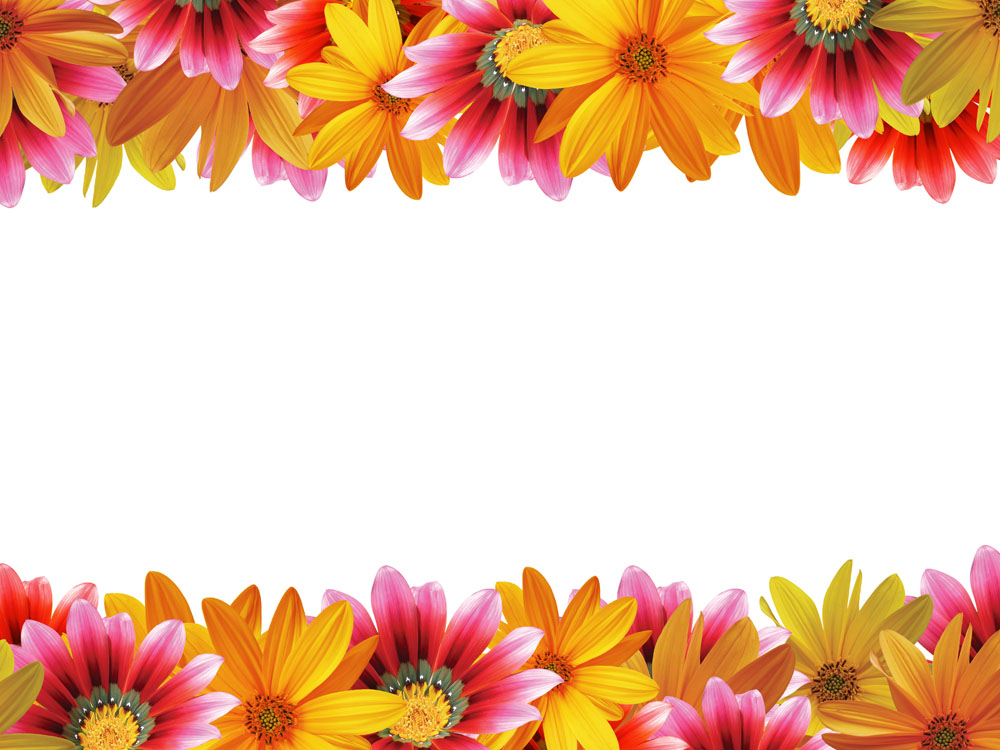 Daisy Border Template Is White Background With Flower