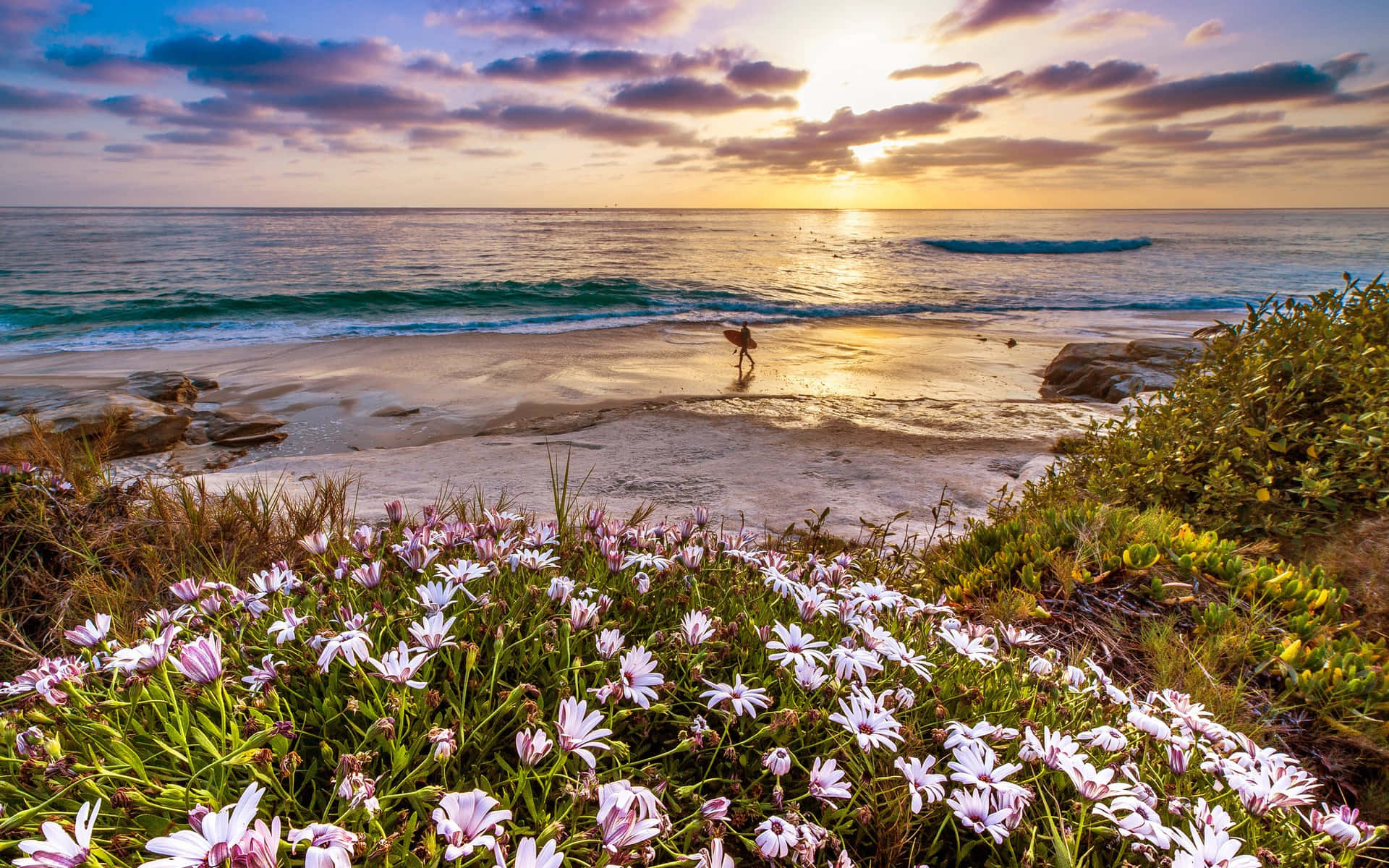 Welcome To California Where Summer Lasts All Year Long Wallpaper