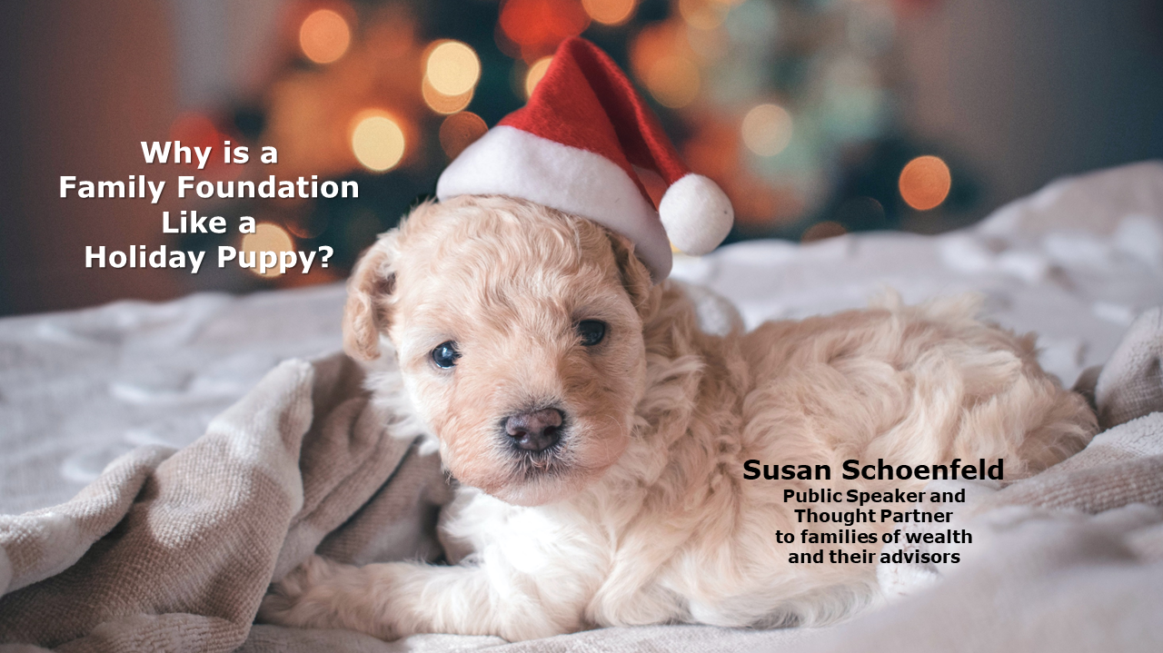 Why Is A Family Foundation Like Holiday Puppy