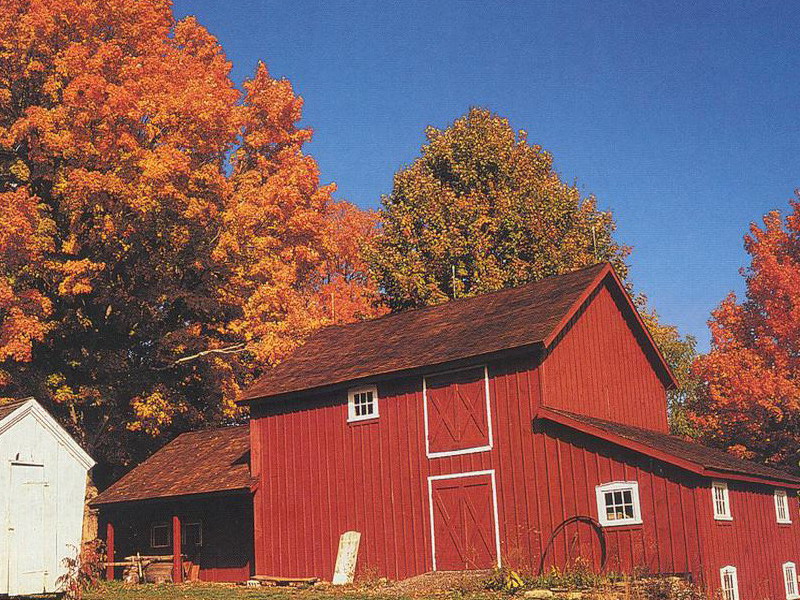 Red Barn In The Fall Rural Buildings And Landmarks Wallpaper Image
