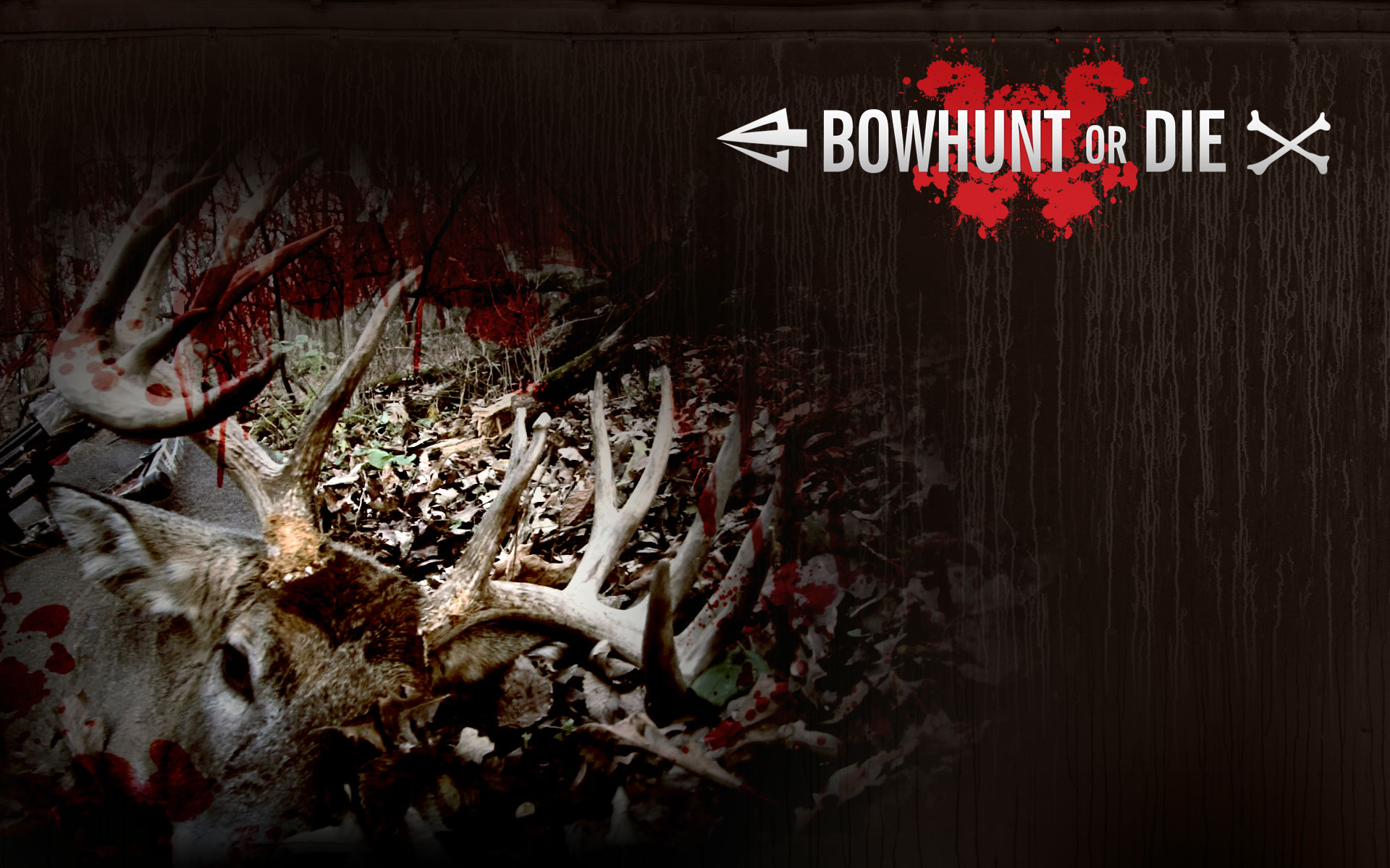 Deer Hunting Desktop Wallpaper Bow