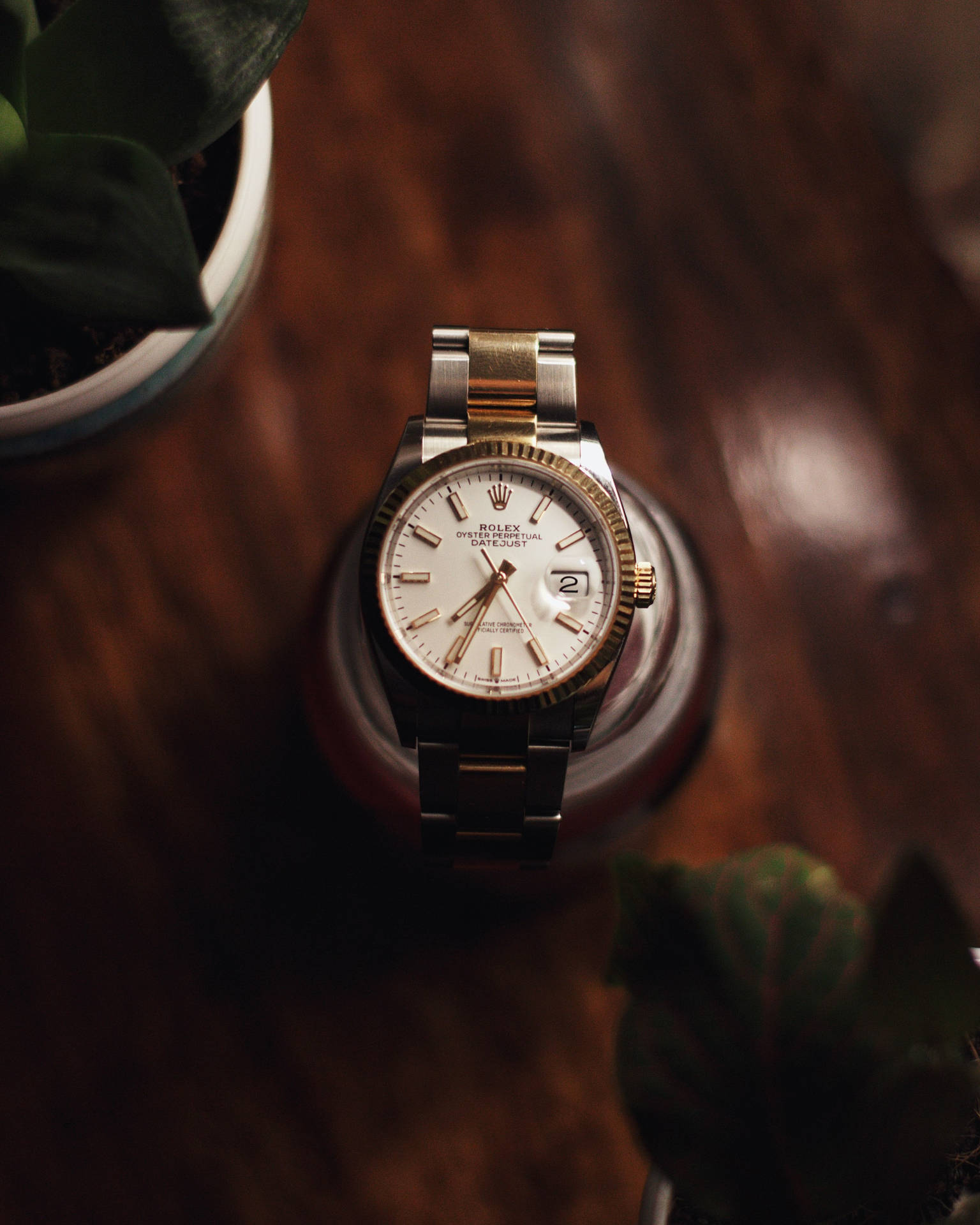 Dark Wood Rolex Kg7hcxtei86y03ey Wallpaper