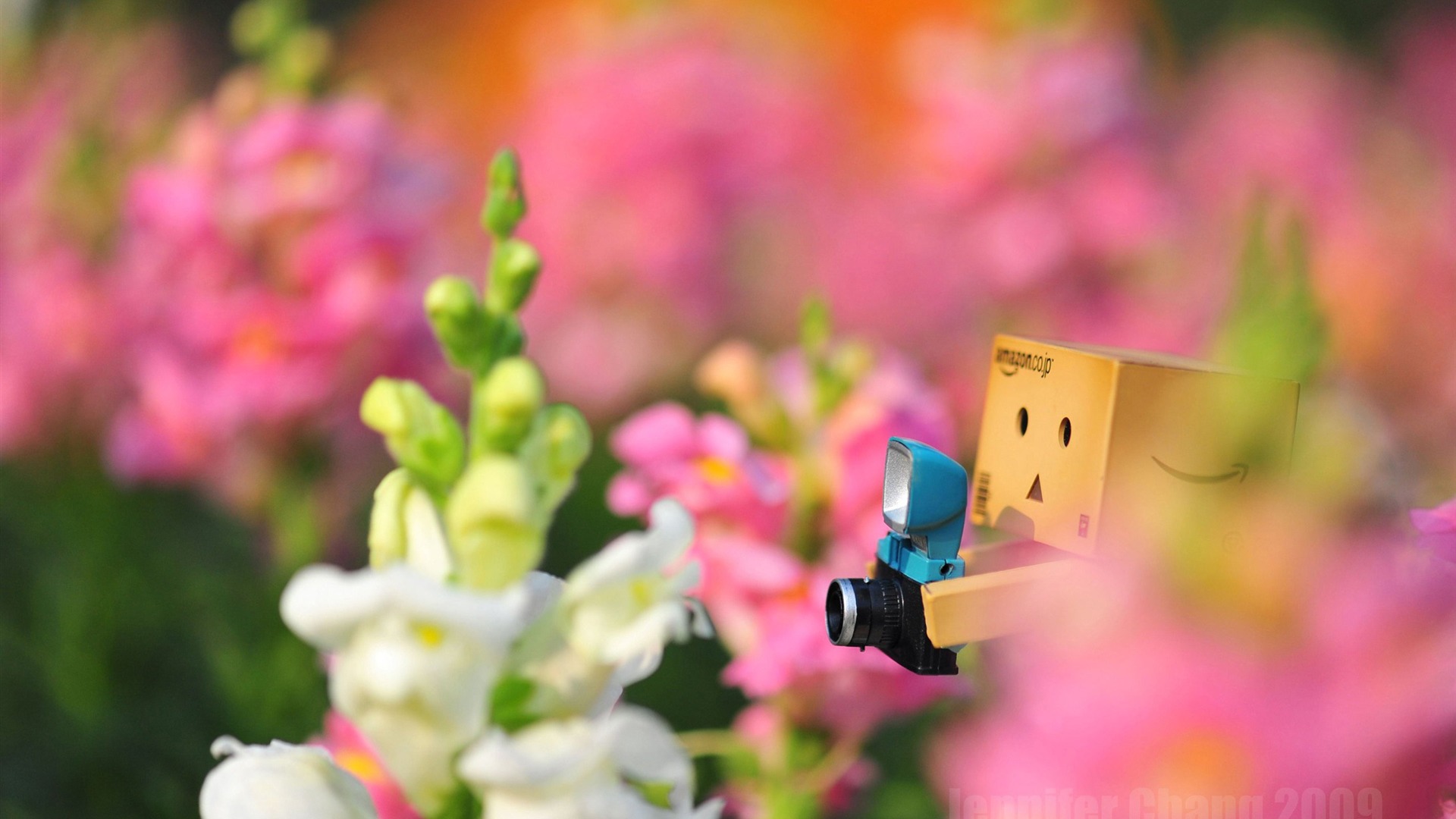 Cute Background Wallpaper Pc Danbo Cool