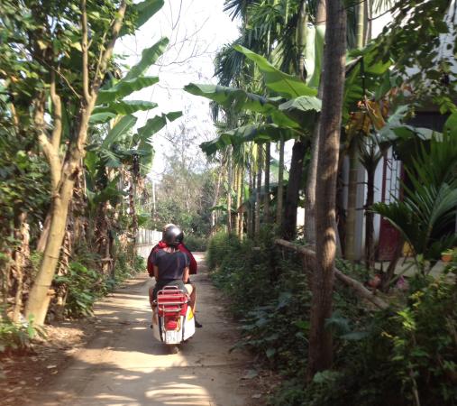 The Peaceful Countryside Scenery Picture Of Vietnam Vespa Adventures