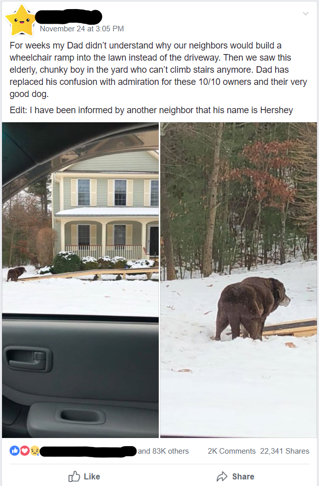 I Saw This Gem In A Dogspotting Group Hershey S Loving
