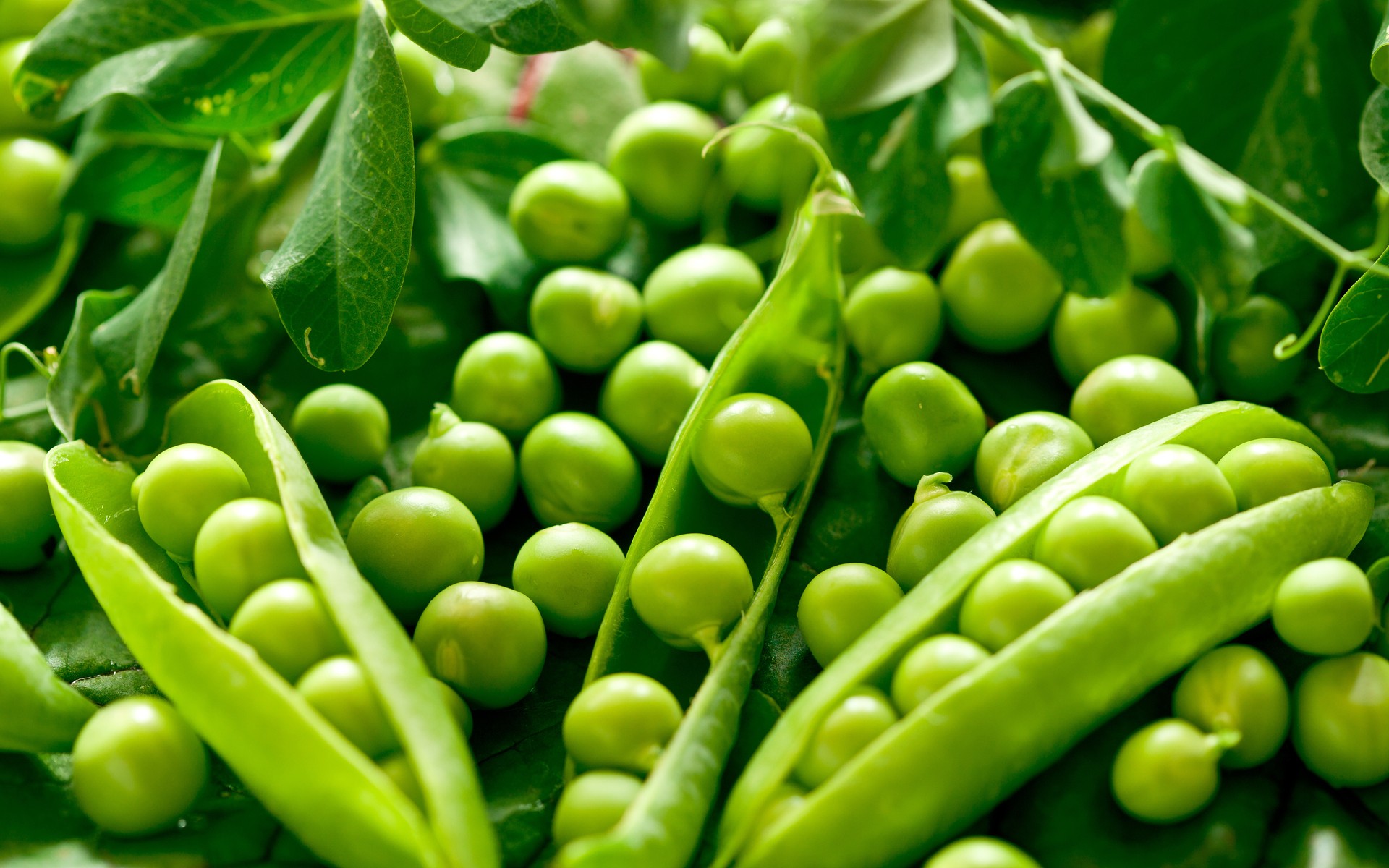Green Vegetables Peas Wallpaper