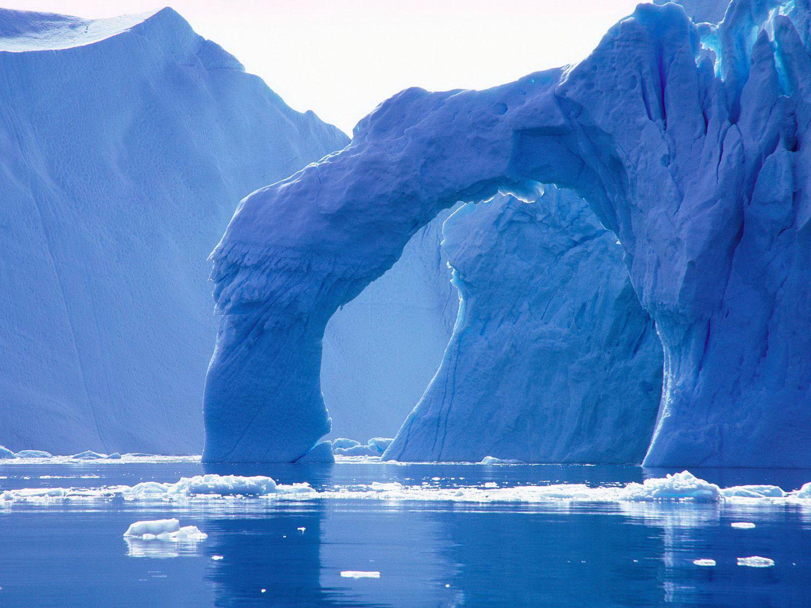 Darcy Cruz Iceberg Background