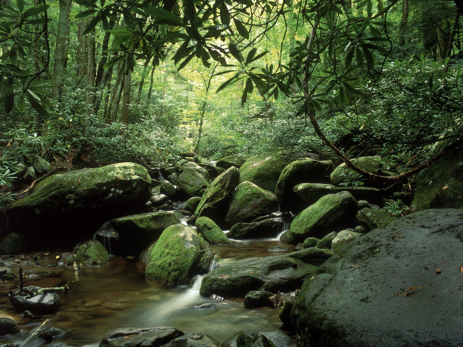 download Smoky Mountain wallpaper