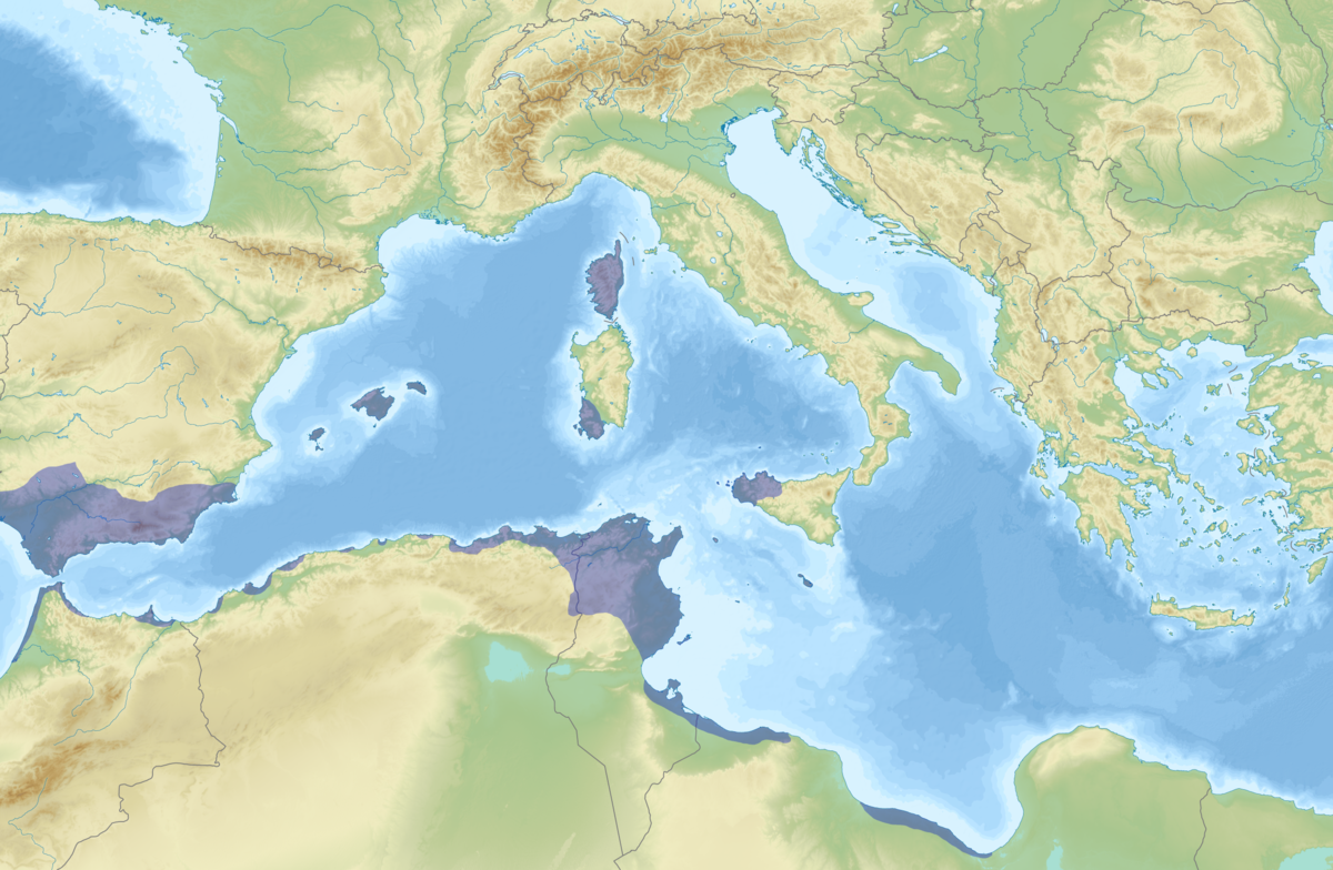 Ancient Carthage Wikipedia