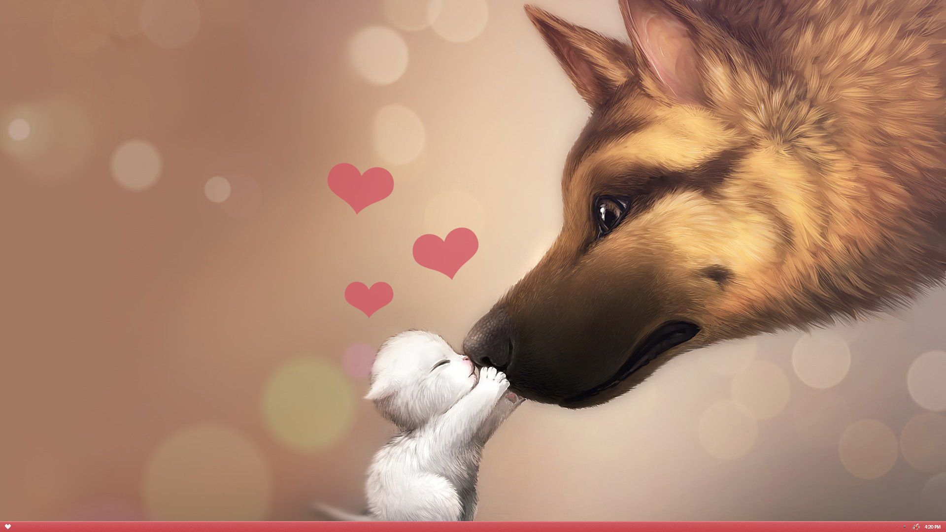 Valentines Day Dog Cat Love HD Wallpaper FullHDwpp Full