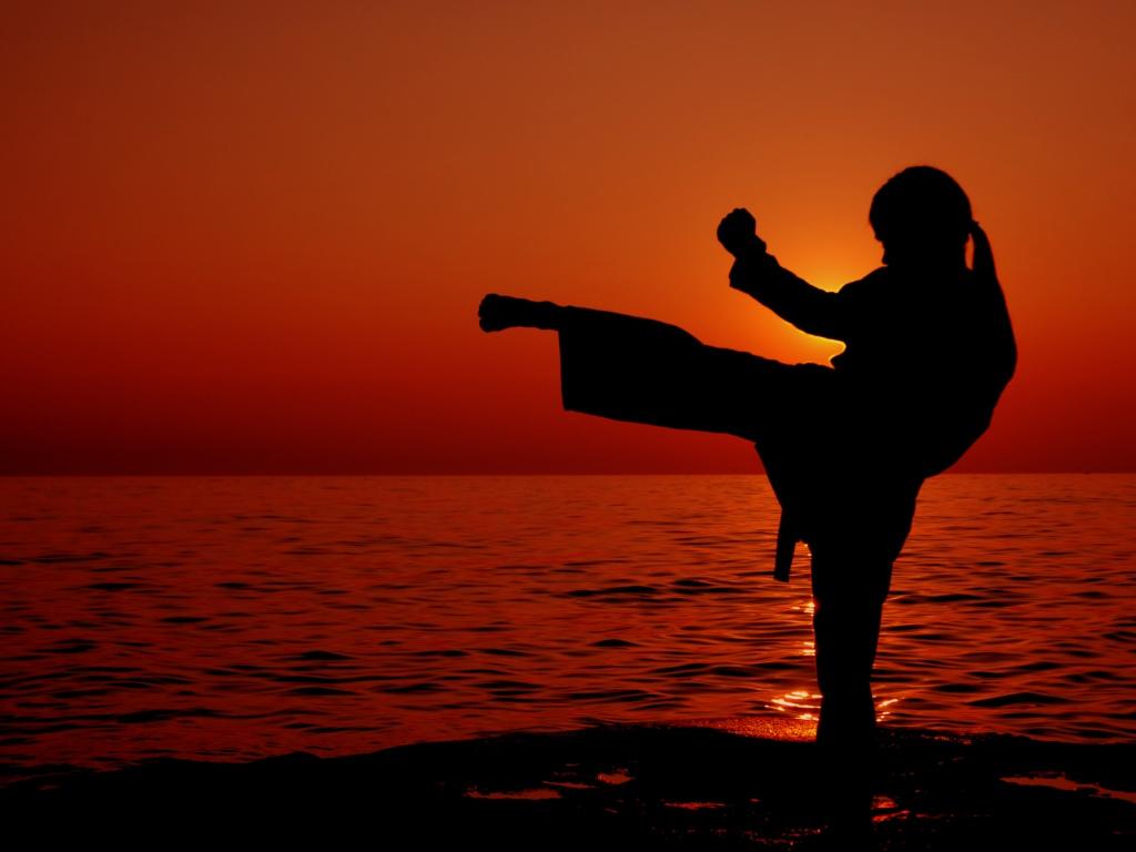 Karate Pack Live Wallpaper Apk Personalization