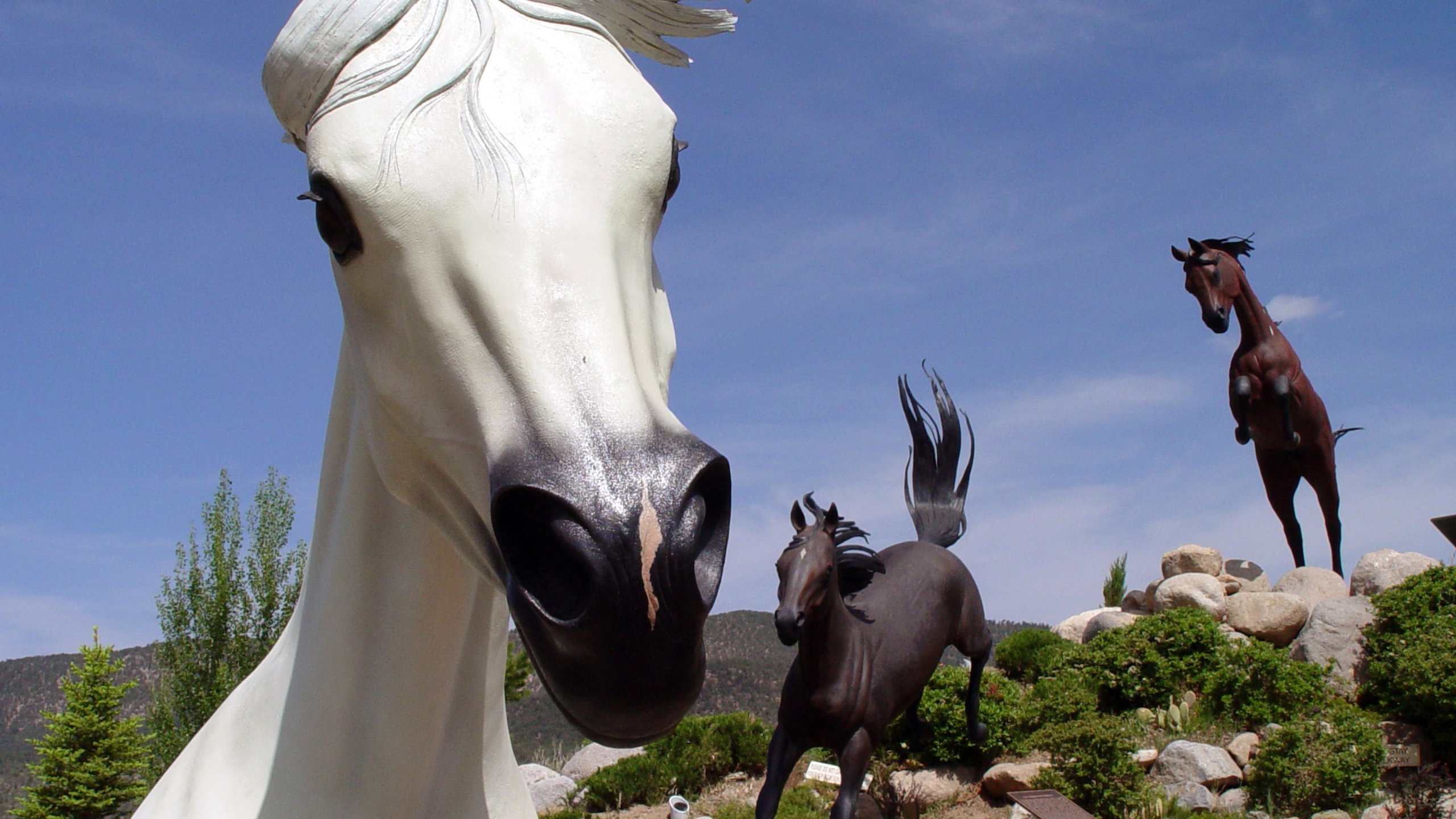 Top Hotels In Ruidoso Nm From Cancellation On Select