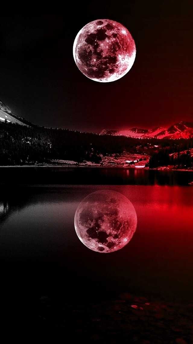 29+] Red Moon Night Sky Wallpapers - WallpaperSafari