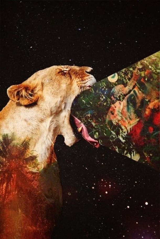 Art Hipster Inspiration Lion Image On Favim