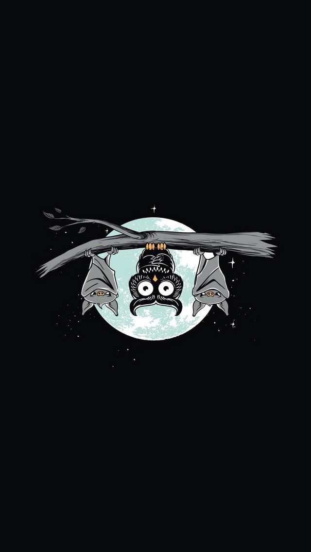 Night Owl Cute Funny iPhone Wallpaper Mobile9