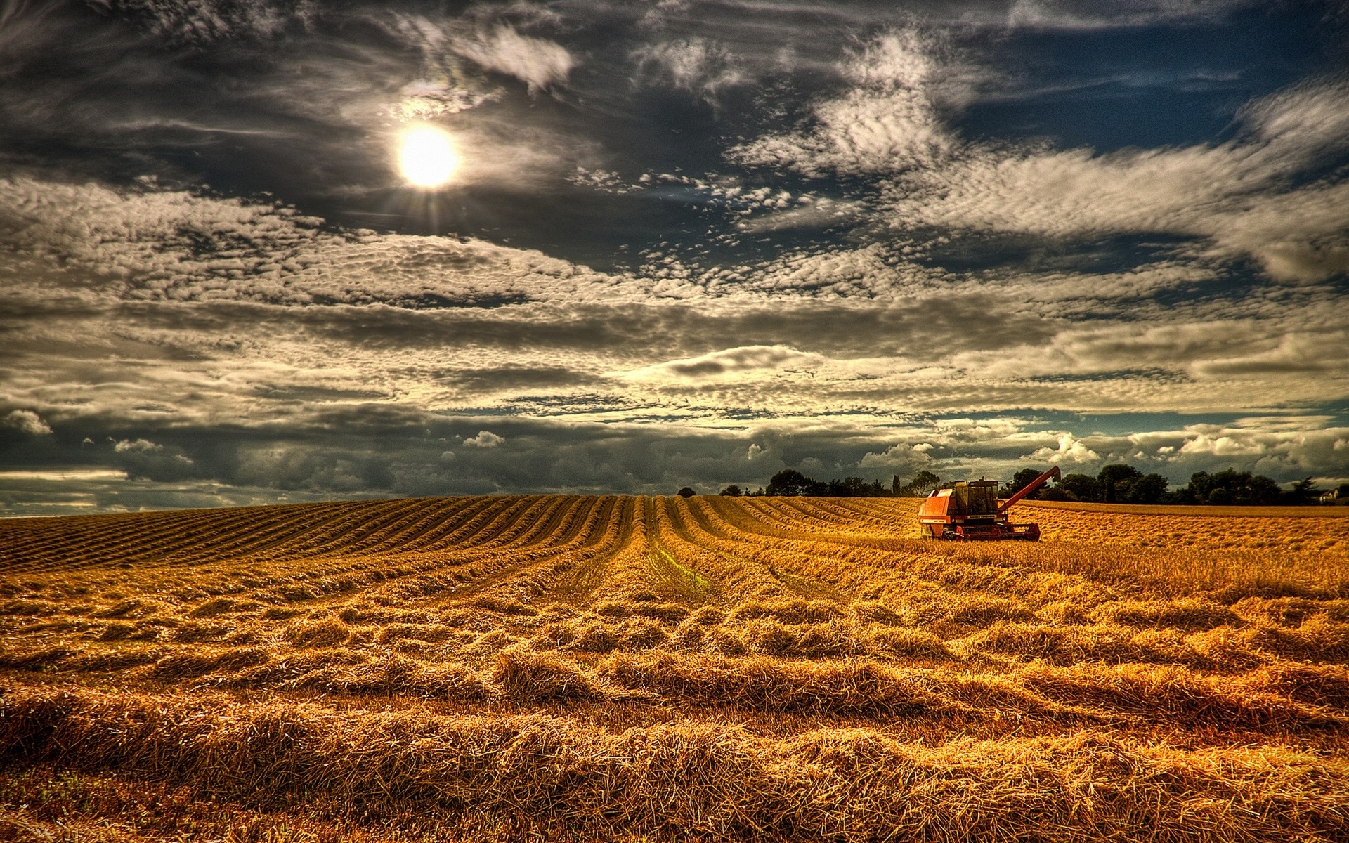 Northern Ireland England Field Grain Harvest Wallpaper Background