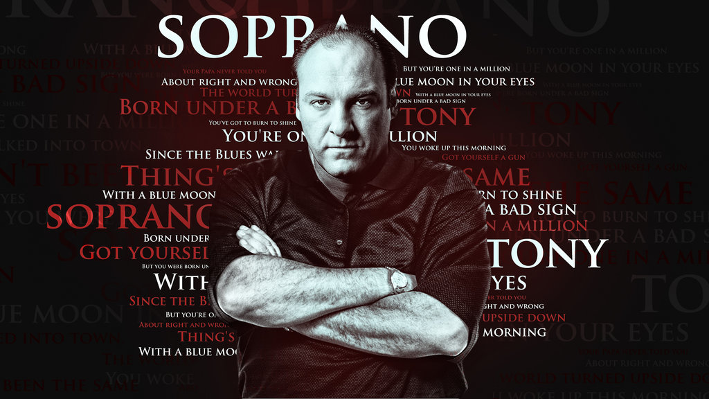 Sopranos~TV Show~ James Gandolfini~Gangster~Poster~Photo~16" x  20"