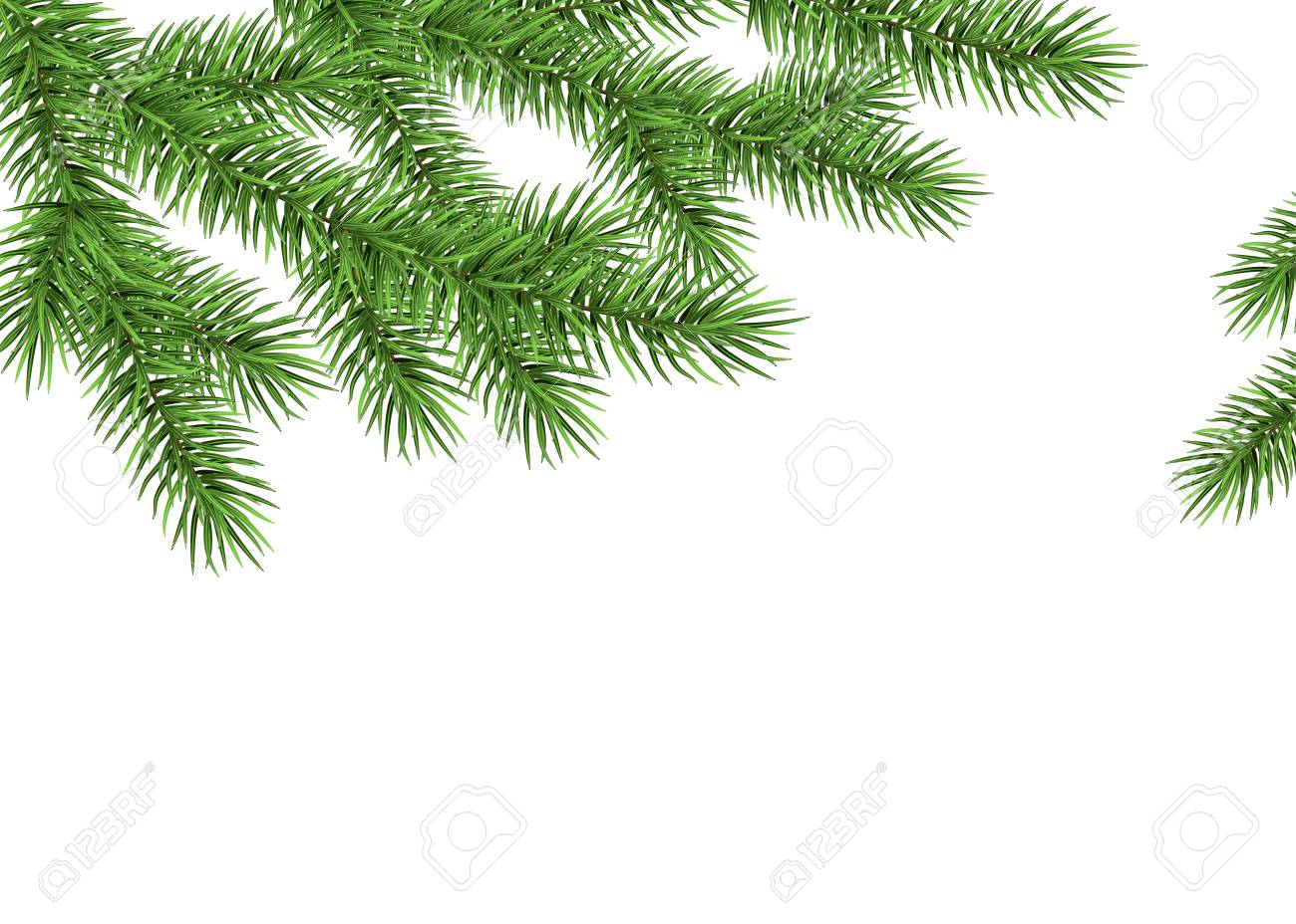 Xmas Background With Spruce Branch Green Fir Realistic Christmas