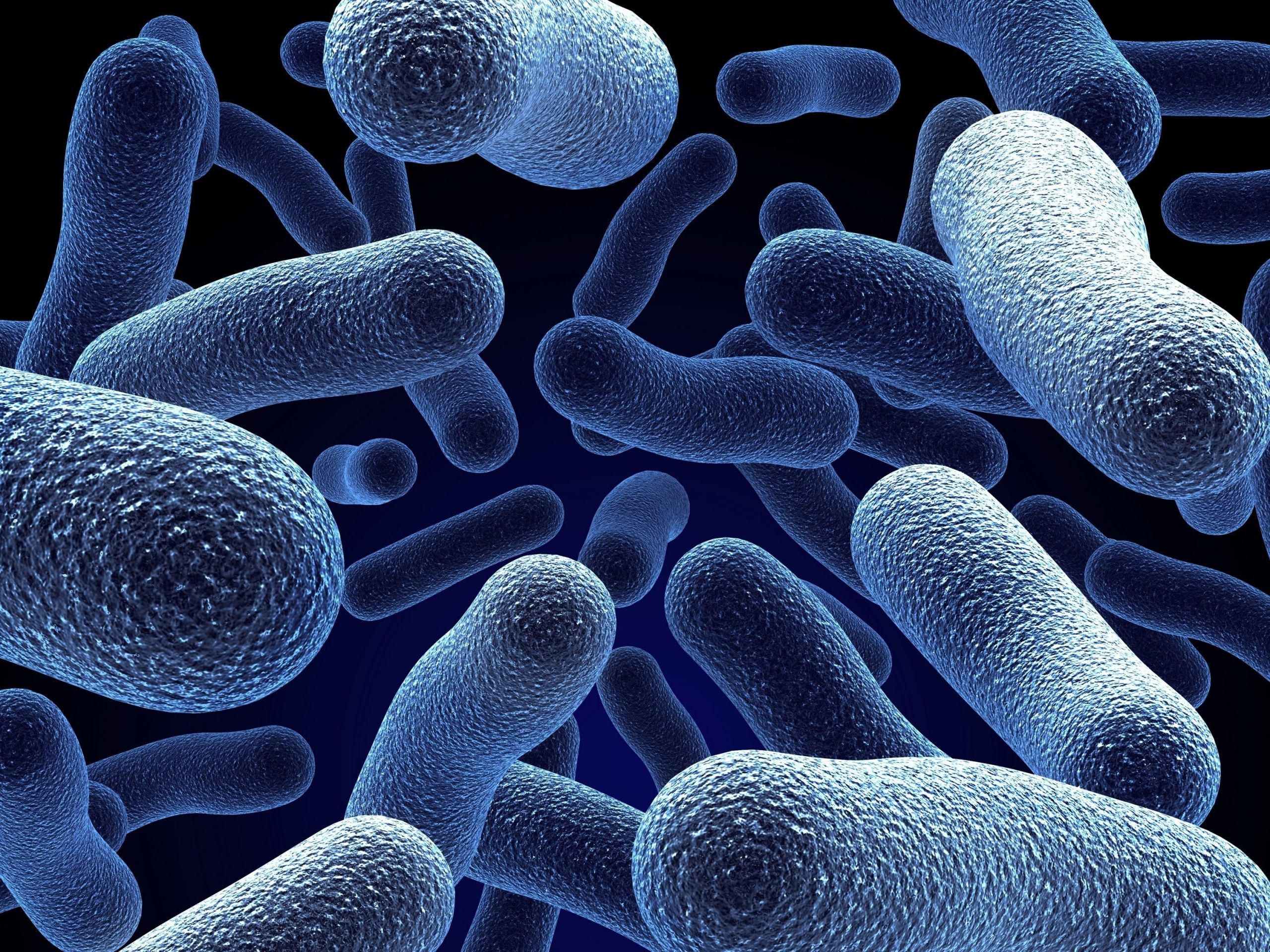 Bacteria Wallpaper Top Background