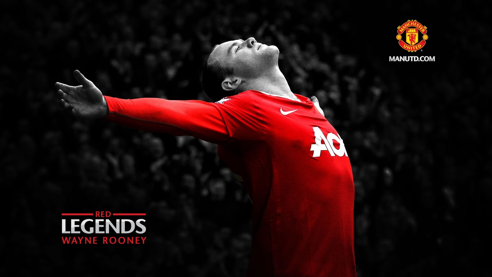 Wallpaper Wayne Rooney Man United HD