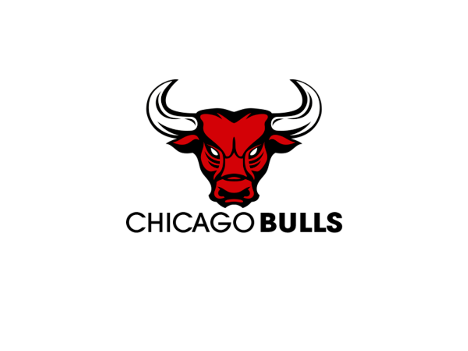 Chicago Bulls Logo Basketball Team Chicago Bulls Logo