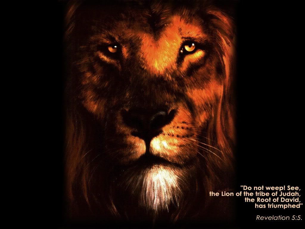 Lion Of Judah Jesus Wallpaper Galleryhip The