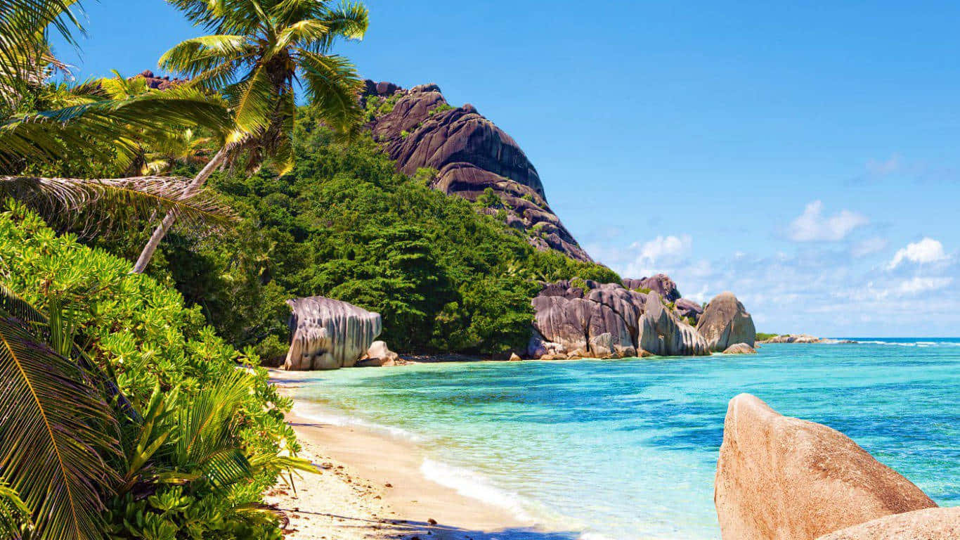 Placid Summer Wallpaper