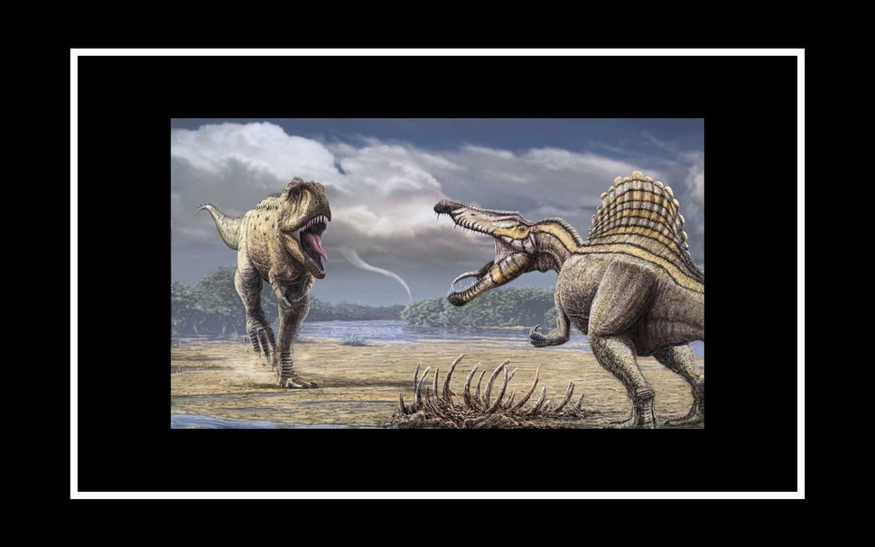 Carcharodontossauro E Espinossauro Vetor