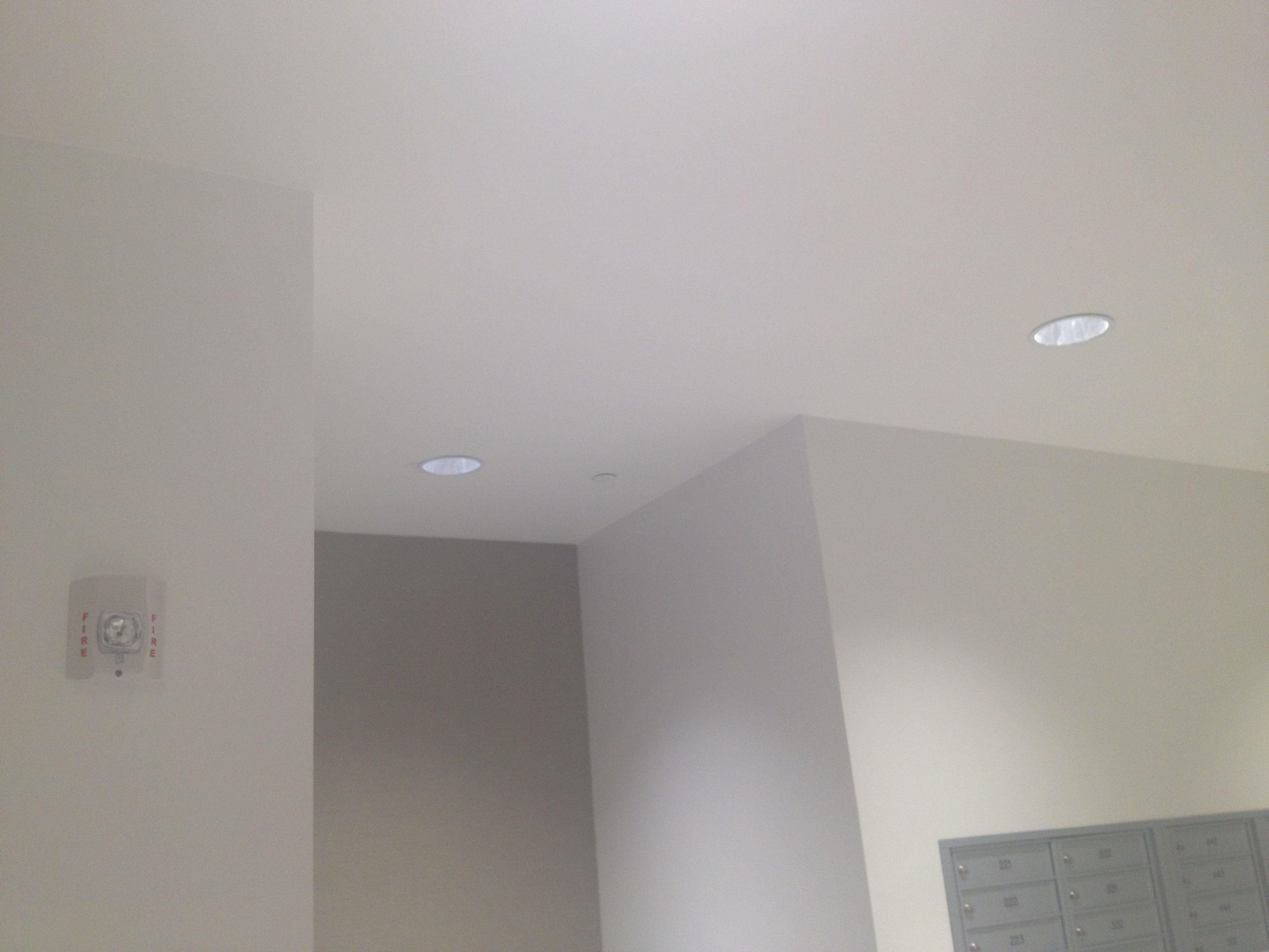 🔥 Free download Wallpaper Wallcovering Contractors Miami DL Wall Design