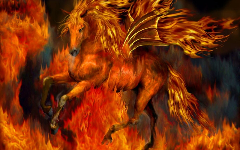 Fire Horses Wallpaper