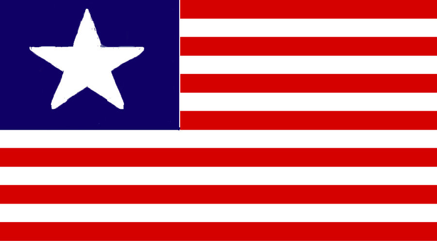 Texas Flag Jax