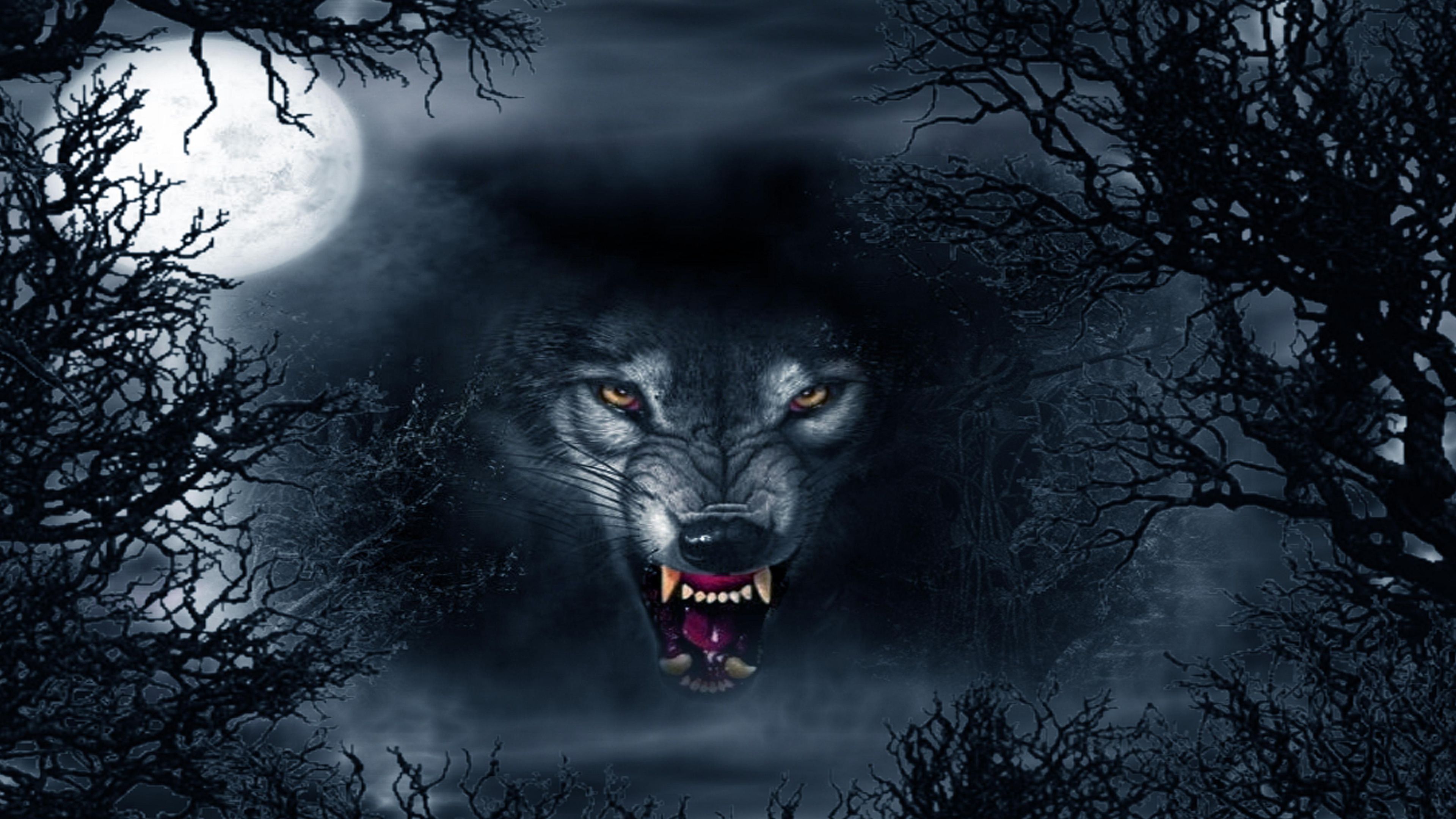 Evil Wolf Wallpaper Top Background