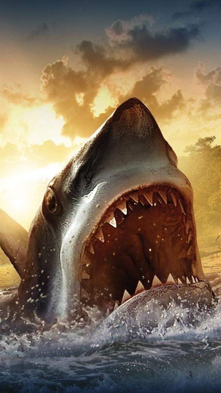 Shark Wallpaper On